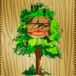 Picture