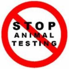 NoTestingAnimal's profile picture. AGAINST ANIMAL TESTING