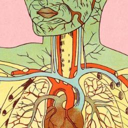 Andrea_Body's profile picture. 