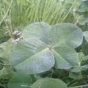 Loretta Reid - @Loretta85575747 - Twitter