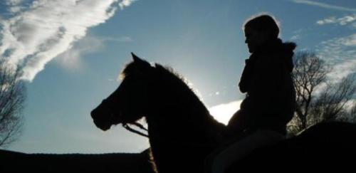 _paardentweets_'s profile picture. Hou jij van paarden en pony's? Volg dan nu het leukste paardenaccount op Twitter!