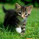 Monique Boyer - @MoniqueBoyer01 - Twitter