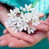 إياد أحمد شمسي (@shamsieyad) Twitter profile photo