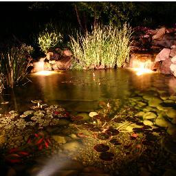 PKWGS's profile picture. We are a family owned business since 2007. We exist to help you enjoy your home and outdoors greatly! I personally have 14yrs experience with water gardening.