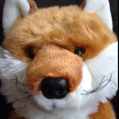 I'm the Chateau Fox. I live in and around Cathcart Castle Golf Club and I like Mars bars.