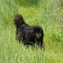 Jason Rushton - @rangerrushton - Twitter