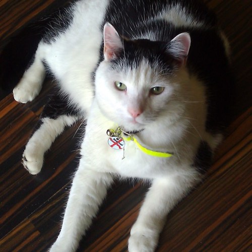 footy (leeds utd ST holder ER Revie stand!) Music, Reading, Socialising (ok then i admit supporting Leeds makes you an alchie!) & laughing at my cat, Ellie!