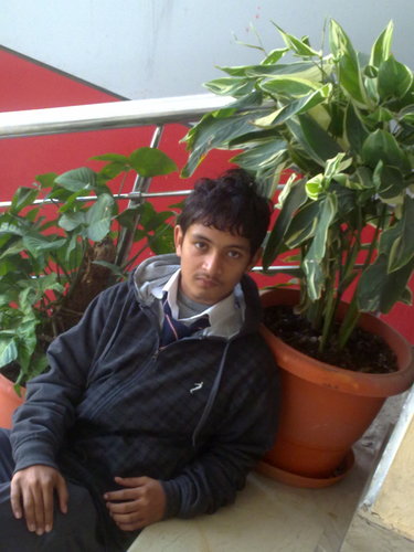 agentloku's profile picture. 