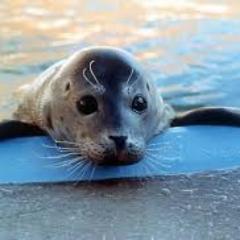 BrendanMc092's profile picture. 