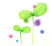 tydieu2104's profile picture. Always believe and hope!!!