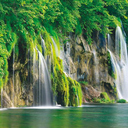 pearl yang - @ypy008 - Twitter