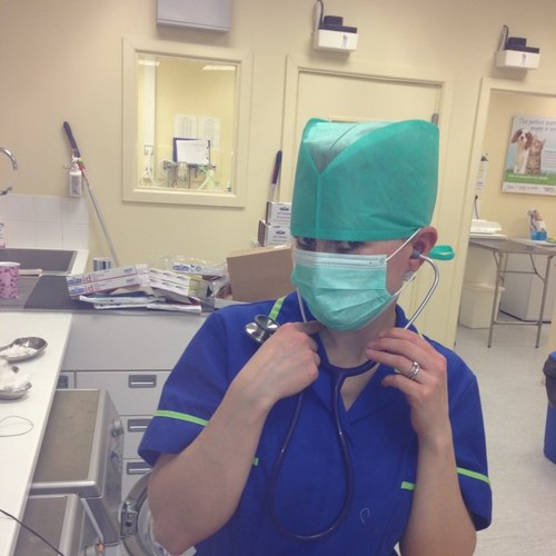 Westicle1's profile picture. 35yr old mummy of three, part time ( well actually half time!) Veterinary Nurse who has her fingers in many pies!!!