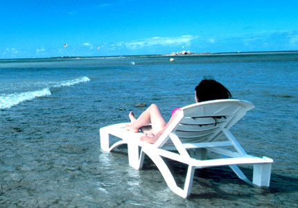 MyOutdoorWorld's profile picture. Love to be outdoor, love to travel. If you like to travel the great outdoor, talk to me.