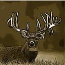 Tyler Eddy - @romeo15431 - Twitter