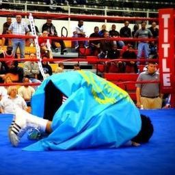 Professional fighter in MMA