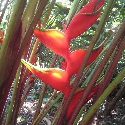 sjd0675's profile picture. Past President, Ottawa-Carleton Landowners Association