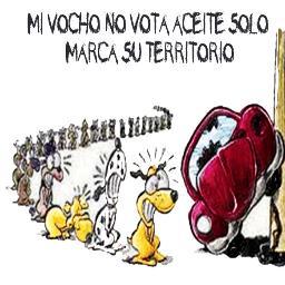 mvegas004's profile picture. 