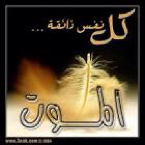 اللهـم من يتابع هذا الحساب يسّر له أمره و فرّج همه وارزقه من حظوظ الدنيا من حيث يحتسب واجعل الجنة دار خلد له ولمن أحب ♥ #صدقه_جاريه_عبدالله_السهلي