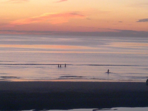 LynnGraham11's profile picture. Building manager for local methodist church. Chairperson for project and vision group at NSMC.