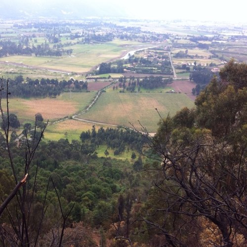 alexandrmarcela's profile picture. 