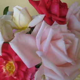 franchescag88's profile picture. OD, Training, Executive Coach professional. Opportunity creator. Food lover, dancer, walker, mindfulness practitioner.