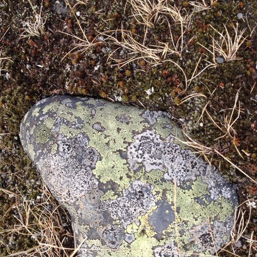 CNSBiology's profile picture. 