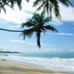 PeaceWhispers's profile picture. Peace Whispers is a source of MP3 meditiations for emotional healing and personal growth.