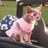 smurfette2626's profile image
