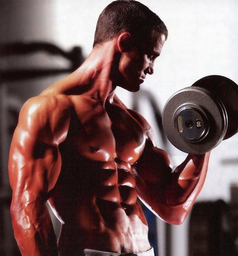 Pump Iron Nutrition  a sua loja de suplementos virtual.