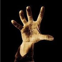 System of a Down ♥ || Segue de volta ?