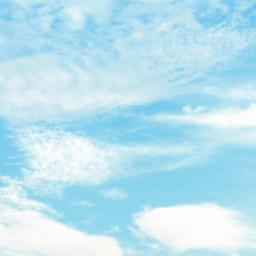 teamteaching1's profile picture. 