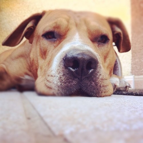 balmaselles's profile picture. 