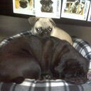 aaron howes - @aaronhowes2 - Twitter