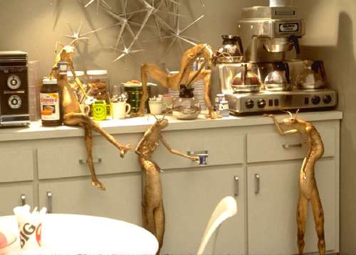 Hello. We are the Worm guys. Yeah don't get to happy now. We love coffee we can be perverts but hey love to party. #RP