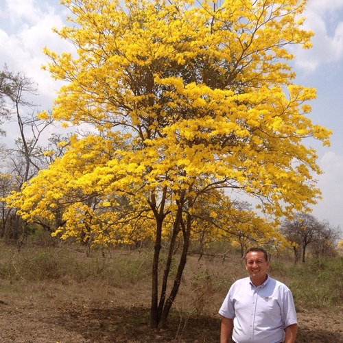 robertoburgos77's profile picture. 