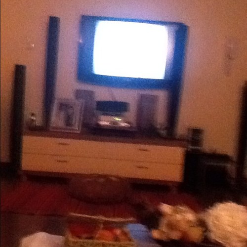 kebs446's profile picture. 