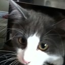 Taylor Haughton - @HaughtonTaylor - Twitter