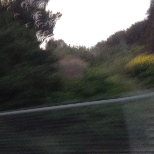 Judith_Grimes12's profile picture. ACOUNT DOES IS DEAD