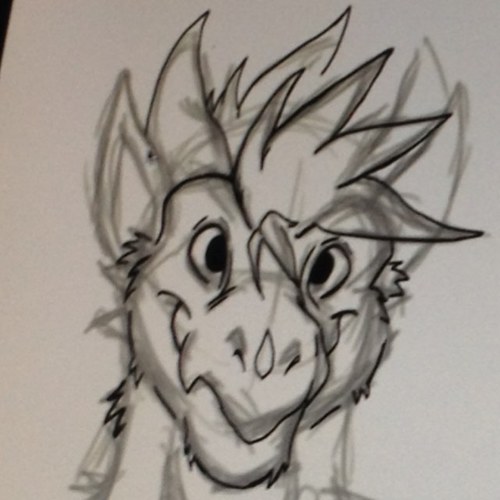 DVectarus's profile picture. Graphic Designer, gamer, furry. Here you will find updates from me and general rants that are sometimes NSFW :) mated to @Sparksiestriped :3