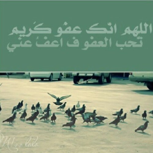 حساب للدعاء لجدتي رحمها الله ...يستحق منكم ريتويت لكل دعاء وفولو لينتشر الحساب ... جعلها الله في ميزان حسناتكم....