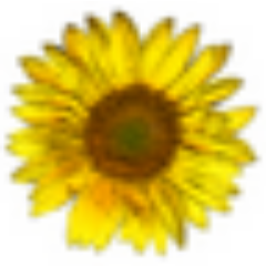 inewportbeachi's profile picture. @What_DAY_isiT @iSUNSHiNEi @iMONDAYi @iTUESDAYi @iWEDNESDAYi @iTHURSDAYi @iFRiDAYi @iSATURDAYi @iSUNDAYi @iSMILESi @iFRiENDSi @iFAMiLYi @_iMOMSi_ @_iDADSi_ #k2