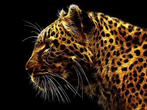 Team_Redemtion's profile picture. 