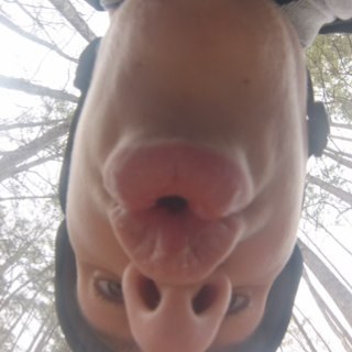 THErealJGrish's profile picture. Hi. I am Jared.