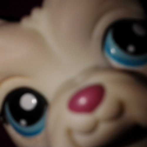 kiearie101's profile picture. Hi im Bluetta from instagram @xxxxxbluettaxxxxx. I love every last one of you and would love if you followed me.