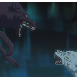 14rhcp's profile picture. 