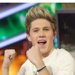 I Love Liam Payne!! Im a Ghost Adventure fan but I LOVE 1D My favorite is Liam. I am a Garrett Hedlund fan also!!