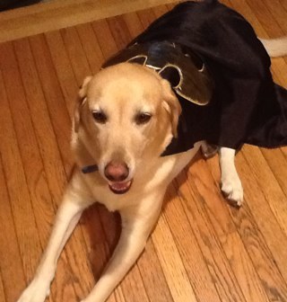 Kkessler16's profile picture. 