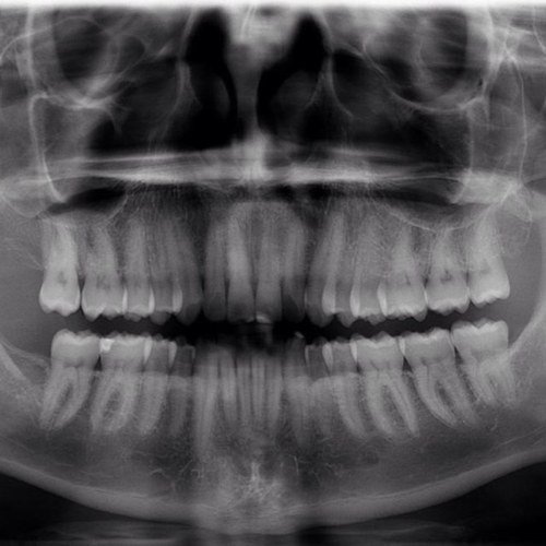 Lucky5evens's profile picture. 