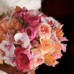 fleursfrance's profile picture. Freelance floral, photoshoot styling, consultation only. Working with https://t.co/gDB0or0YGF, Sonoma County hand crafted clean beauty skin care line.