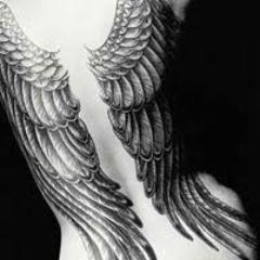 shachela's profile picture. Politológa, fiscalizadora y administradora pública...analista constructiva que disfruta la vida misma, sólo por el placer de estar en plenitud.